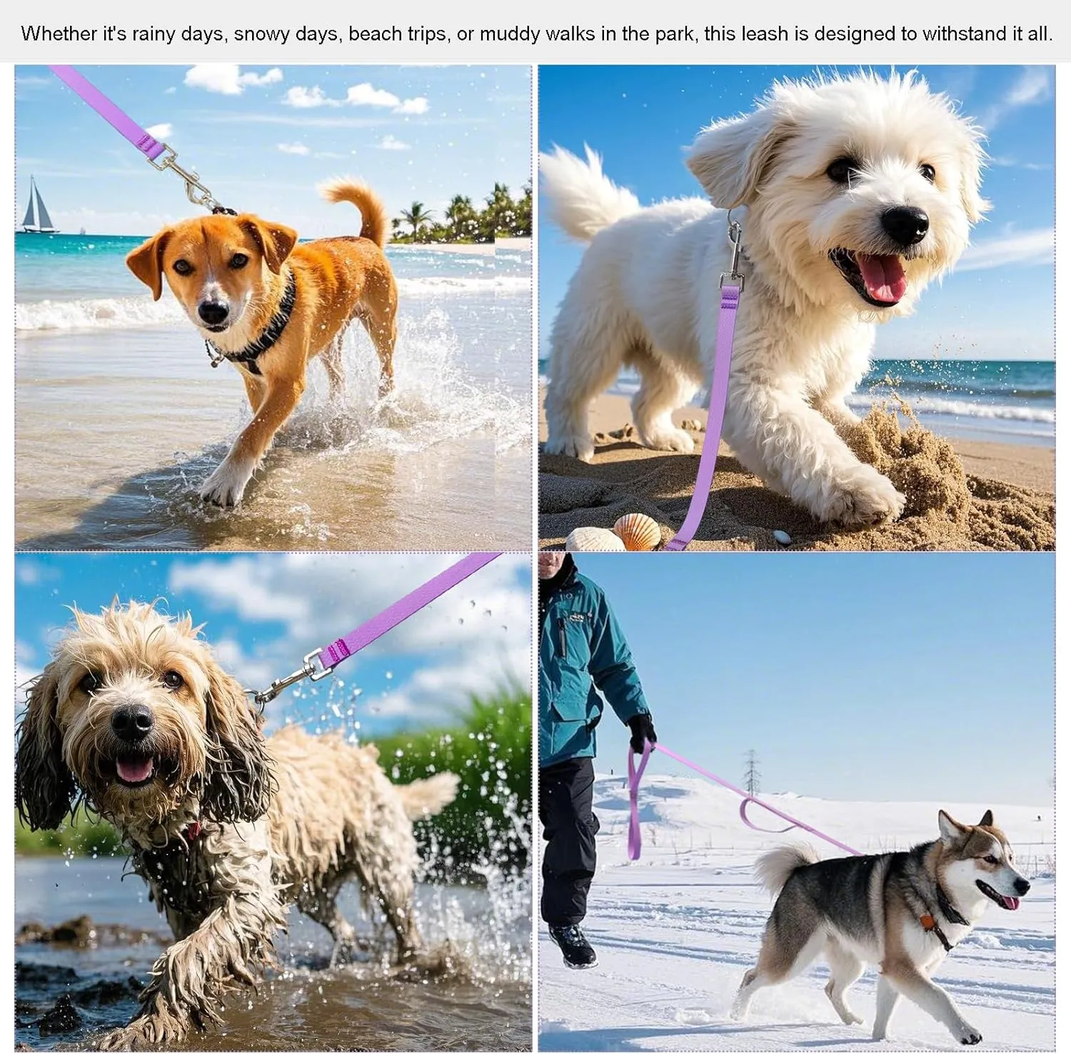 6 ft Double Handle Waterproof Dog Leash, Traffic Control, Odor Proof, Easy Clean Coated Wide Nylon with 2 Handles for Beach/Muddy Adventures/Training