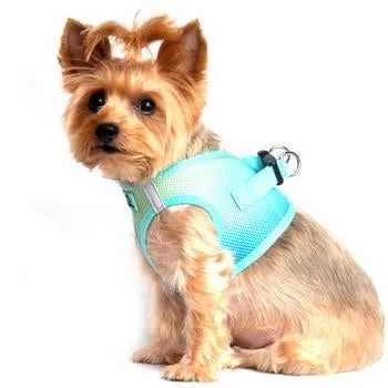 American River Choke Free Dog Harness - Aruba Blue