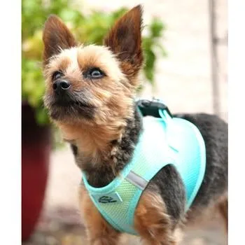 American River Choke Free Dog Harness - Aruba Blue