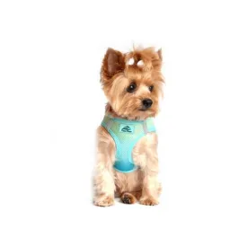 American River Choke Free Dog Harness - Aruba Blue