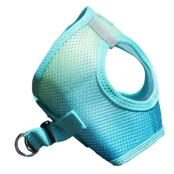 American River Choke Free Dog Harness - Aruba Blue