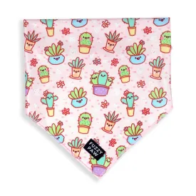 Bandana - Fancactus