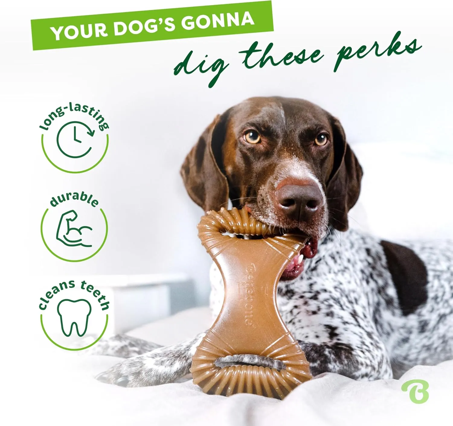 Benebone Dental Durable Dog Chew Toy for Aggressive Chewers, Real Peanut, Made in USA, Medium