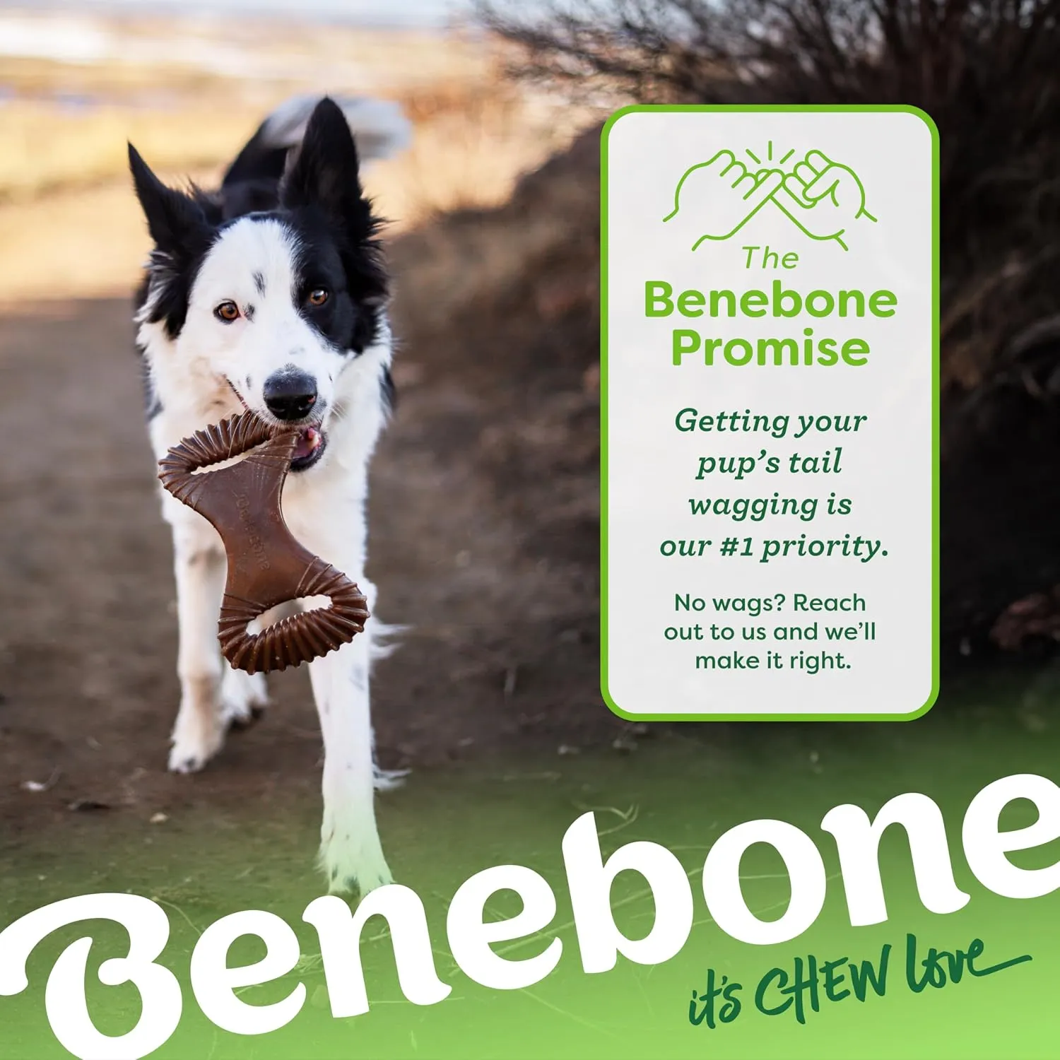 Benebone Dental Durable Dog Chew Toy for Aggressive Chewers, Real Peanut, Made in USA, Medium