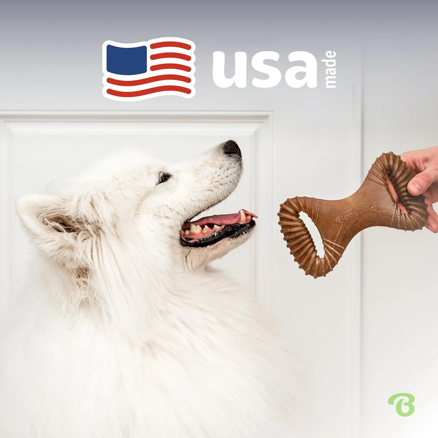 Benebone Dental Durable Dog Chew Toy for Aggressive Chewers, Real Peanut, Made in USA, Medium