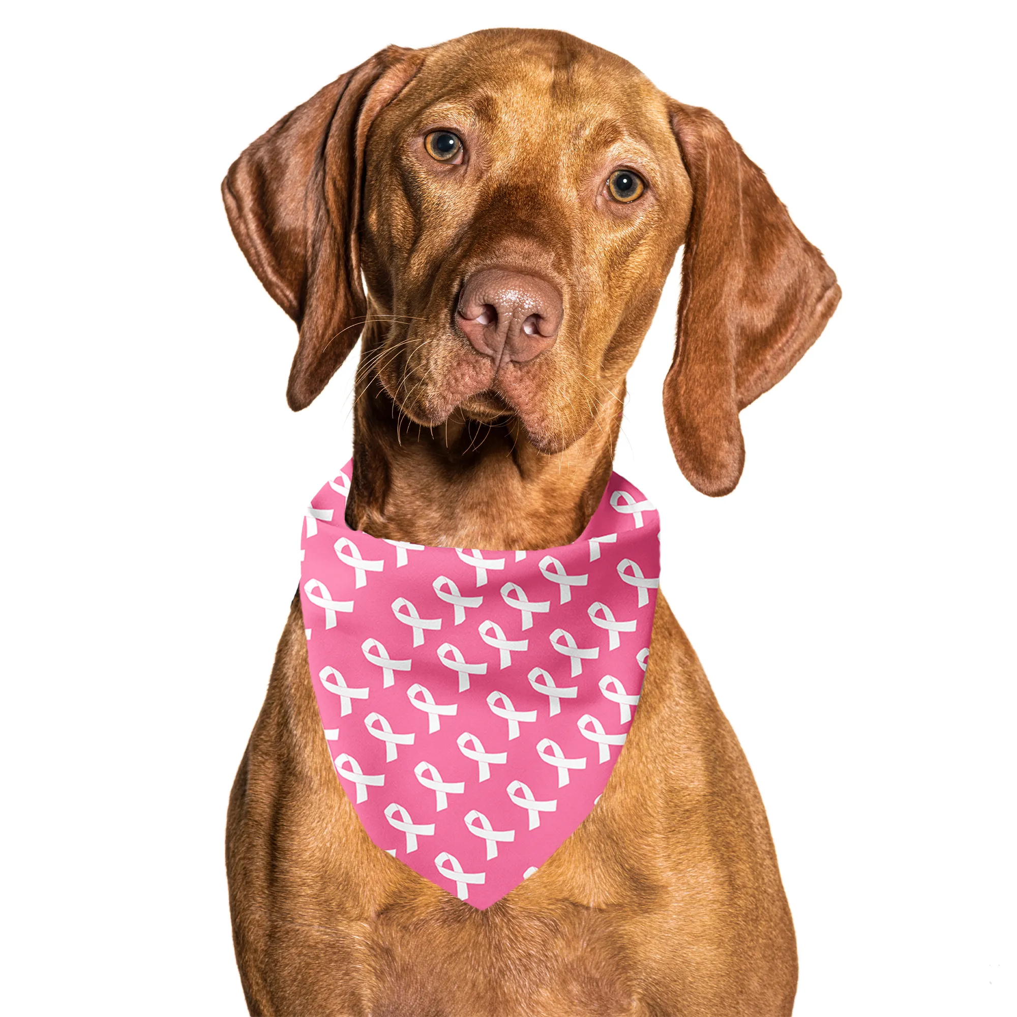 Breast Cancer Awareness Pink Tie On Dog Bandana