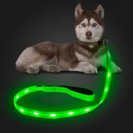 Candofly Light Up Dog Leash - Reachargeable Pet Leash with Light - 4 Ft Glowing Dog Lead for Night Walking (Green)
