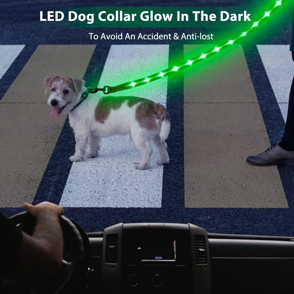Candofly Light Up Dog Leash - Reachargeable Pet Leash with Light - 4 Ft Glowing Dog Lead for Night Walking (Green)