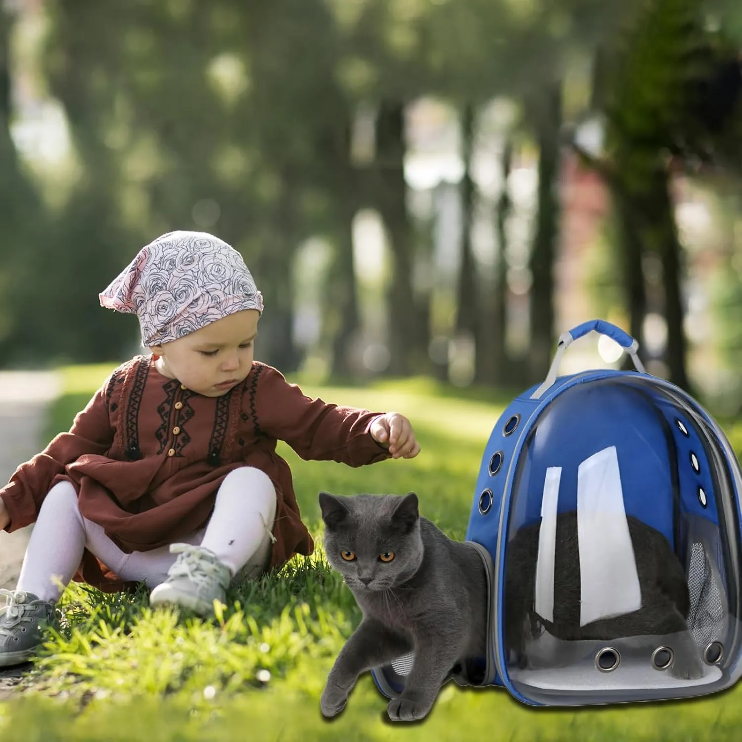 Cat Backpack Carrier Bubble Bag, Transparent Space Capsule Pet Carrier Dog Hiking Backpack, Small Dog Backpack Carrier for Cats Puppies Airline Approved Travel Carrier Outdoor Use Blue