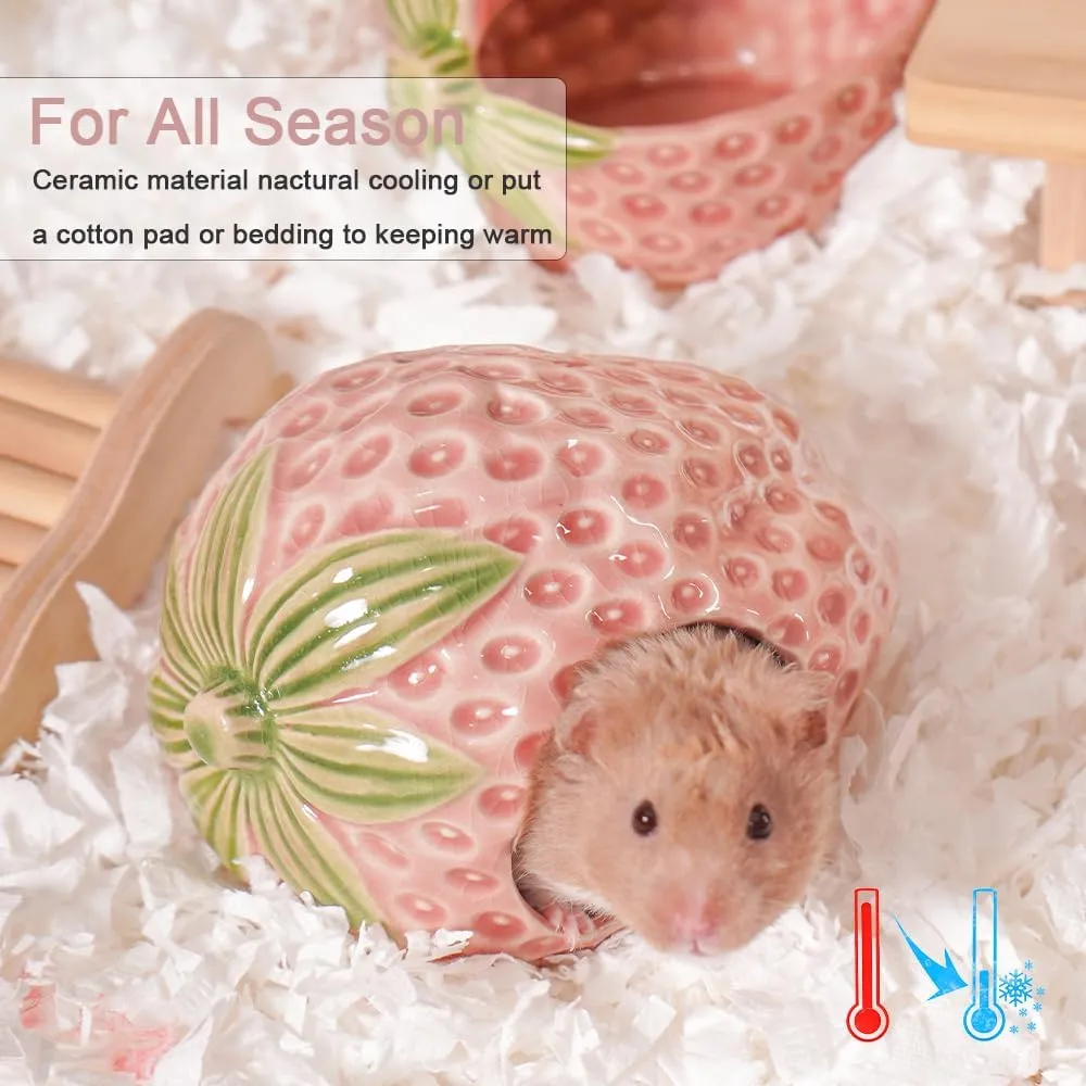 Ceramic Hamster Hideout, Strawberry Hamster House and Habitat, Syrian Hamster Hideout Decor Cool Bed for All Season Gerbil, Mice Guinea Pig