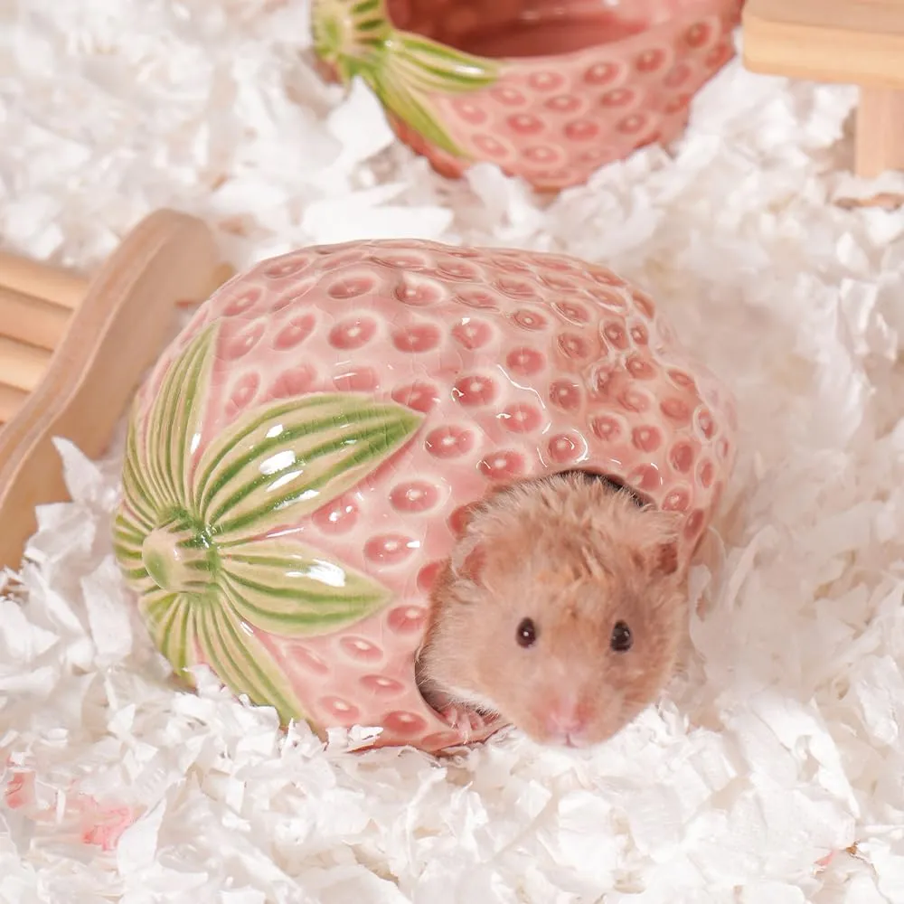 Ceramic Hamster Hideout, Strawberry Hamster House and Habitat, Syrian Hamster Hideout Decor Cool Bed for All Season Gerbil, Mice Guinea Pig