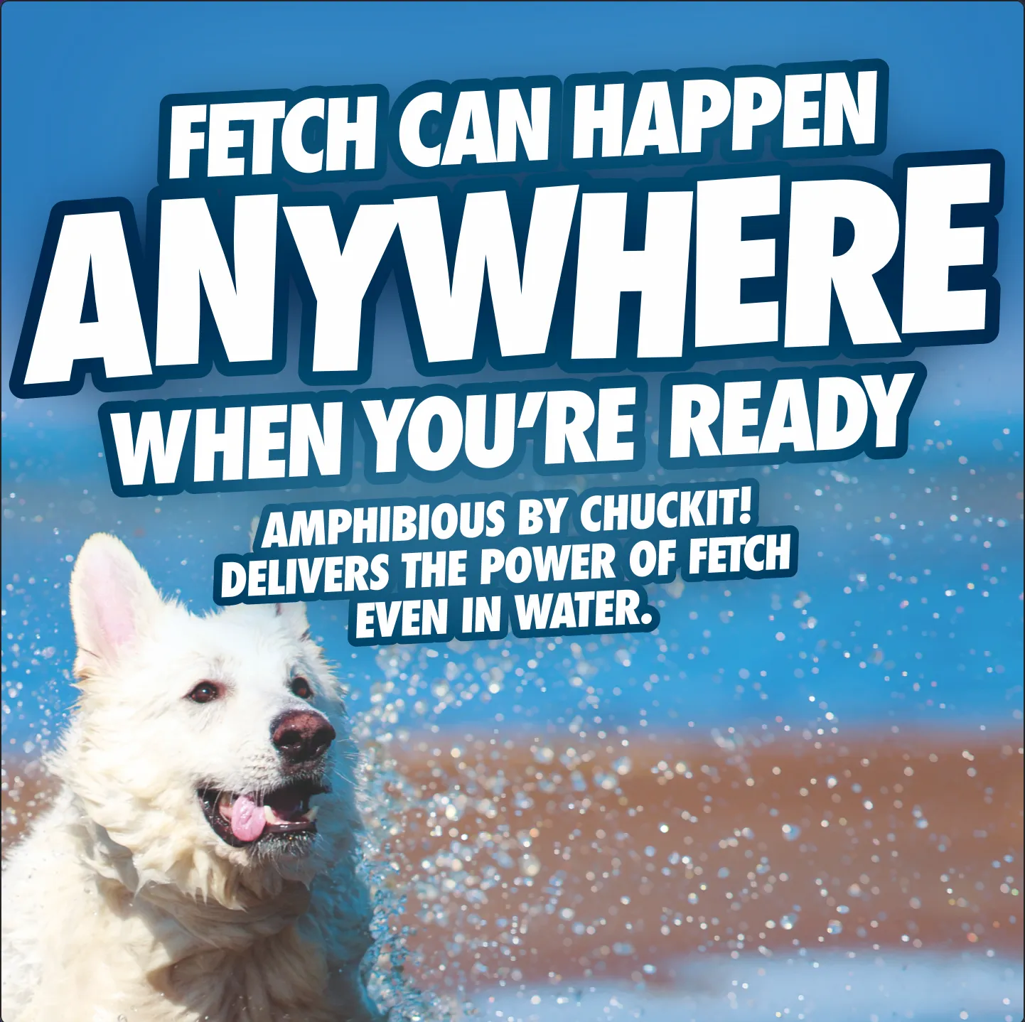 Chuckit! Amphibious Fetch Balls Medium 3 Pack