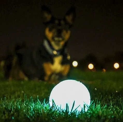 Chuckit! Max Glow Ball Dog Toy