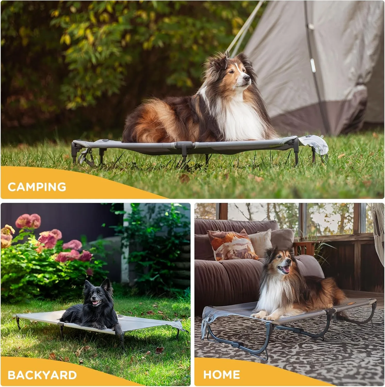 Daisy Cot, Medium Foldable Elevated Dog Bed, Portable Raised Outdoor Folding Dog Cot, Cooling, Chew Proof, Waterproof, Heavy Duty Up to 160 lbs for Camping/Home, Grey, 32"x 19"x6"