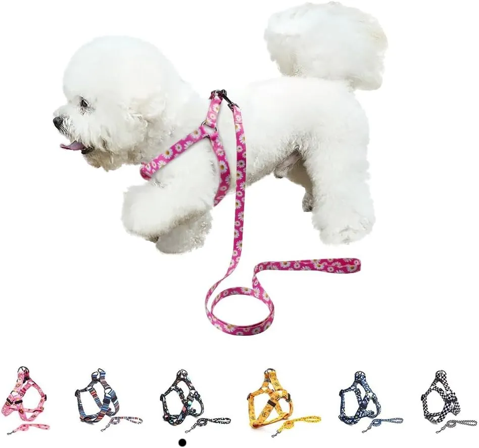 Dog Leash Set Adjustable No Pull, Suitable for Small, Medium and Large Dogs Anti-Twist Perfect Dog Collar Leash Cover, Suitable for Hiking, Dog Training(Colored Sky, M)
