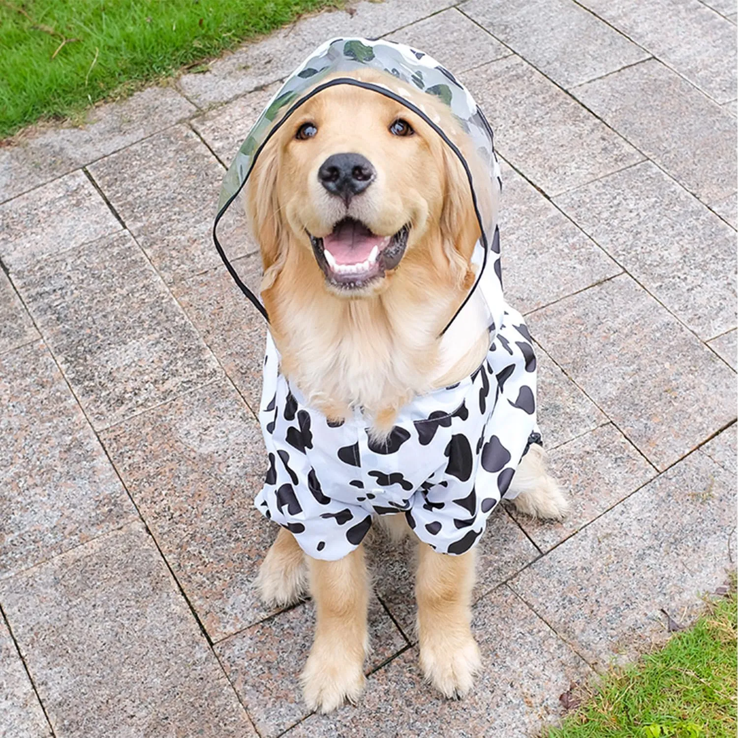 Dog Raincoat, Tail Protect Legs Cover Cow Cosplay Raincoat Costume Cute Animals Pattern Raincoat Jacket for Medium Large Dogs 5XL