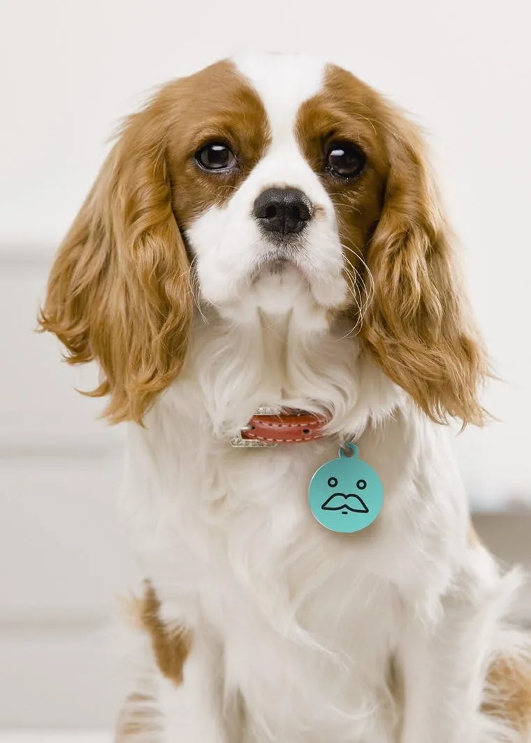 Dynotag Web Enabled Super Pet ID Smart Tag with DynoIQ & Lifetime Recovery Service. Play Series: Round (Mustache)