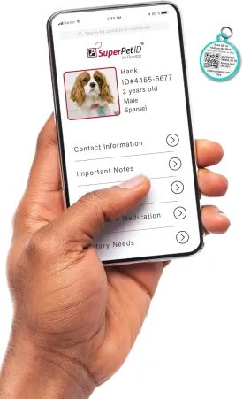 Dynotag Web Enabled Super Pet ID Smart Tag with DynoIQ & Lifetime Recovery Service. Play Series: Round (Mustache)