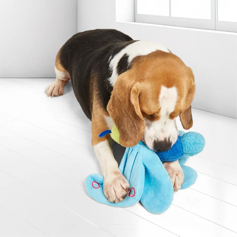 FOFOS Jumbo Butterfly Plush Toy for Dogs (Blue)
