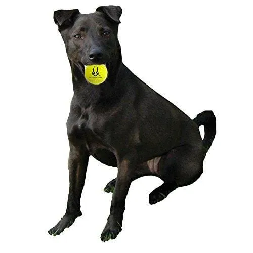 HypetPet Tennis Balls (4 Pack)