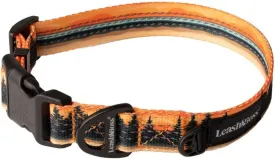 Leash Boss Patterned Reflective Dog Collar, Pattern Collection, Colorful Dog Collar with Triple Reflection Threads for Small, Medium and Large Dogs