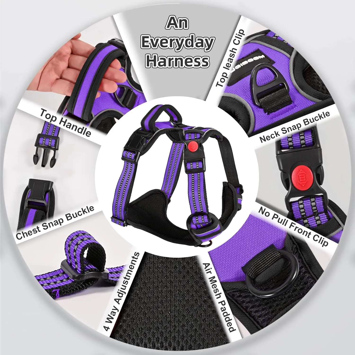 No Pull Dog Harness with A Free Heavy Duty 5ft Dog Leash, Adjustable Soft Padded Dog Vest, Reflective No-Choke Pet Oxford Vest with Easy Control Handle for Small and Large Dogs (Purple, Medium)