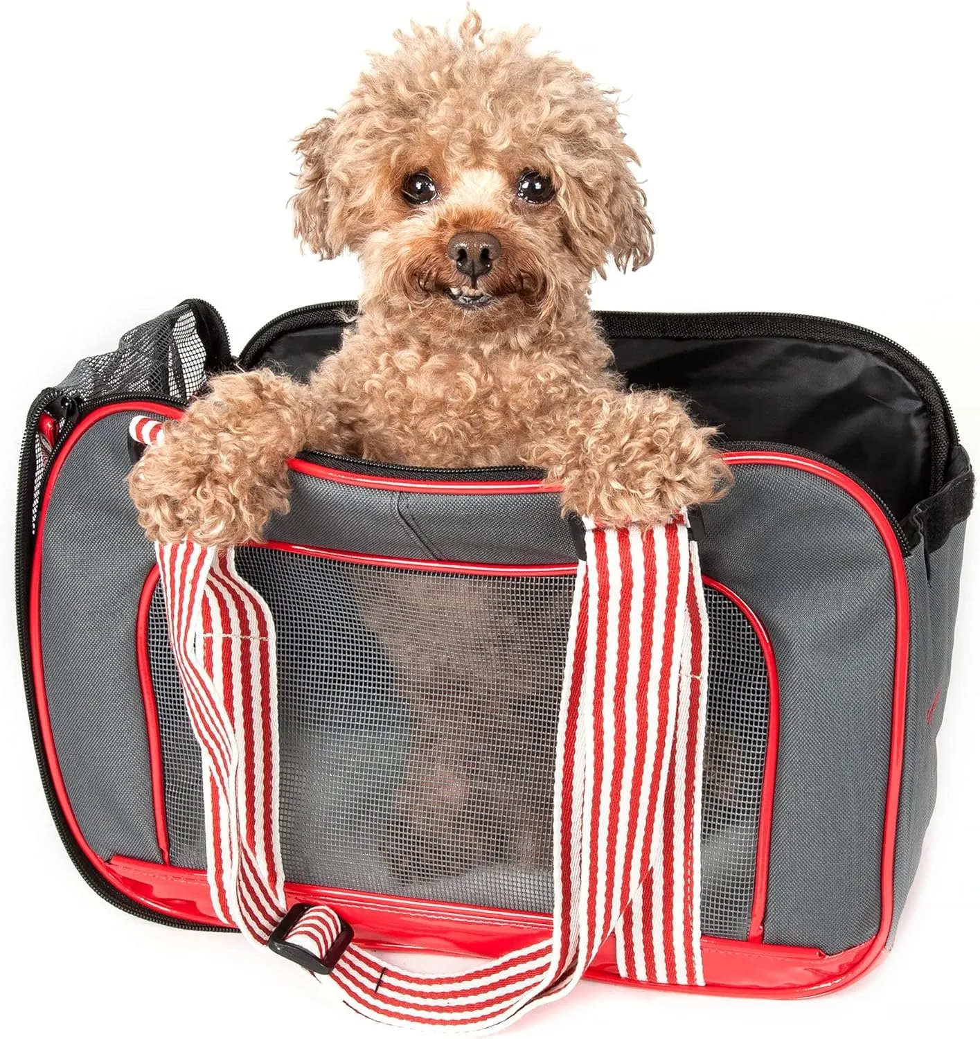 Pet Life  - ,
