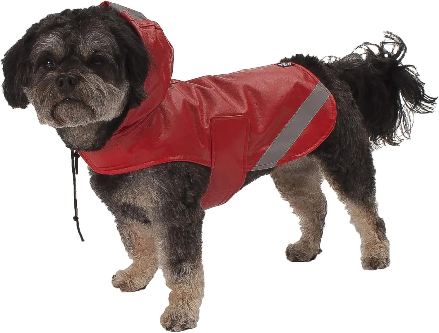 PetRageous 8403RS London Slicker Water Repellent Dog Raincoat with Dog Leash Opening 11-Inch Long Lightweight Jacket for Small Dogs and Puppies, Red