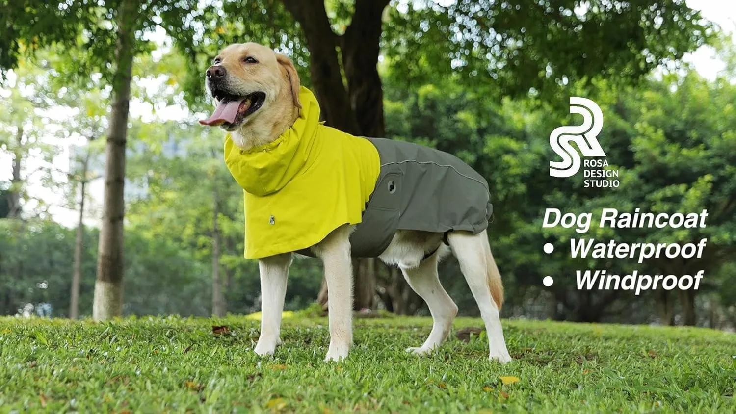 RS Dog Raincoat, All-Weather Jacket, Waterproof, Windproof & Lightweight, Teflon Fabric Protector (Bright Green, Large)