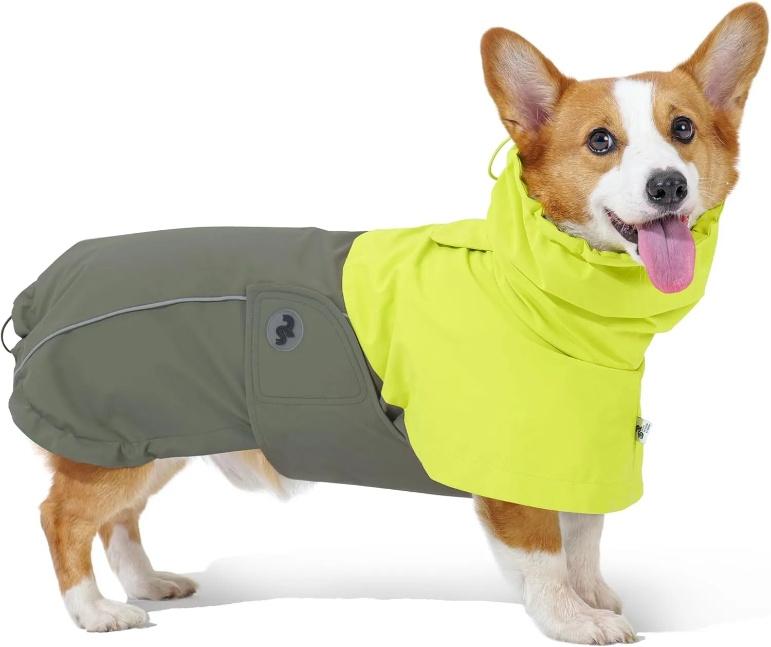 RS Dog Raincoat, All-Weather Jacket, Waterproof, Windproof & Lightweight, Teflon Fabric Protector (Bright Green, Large)