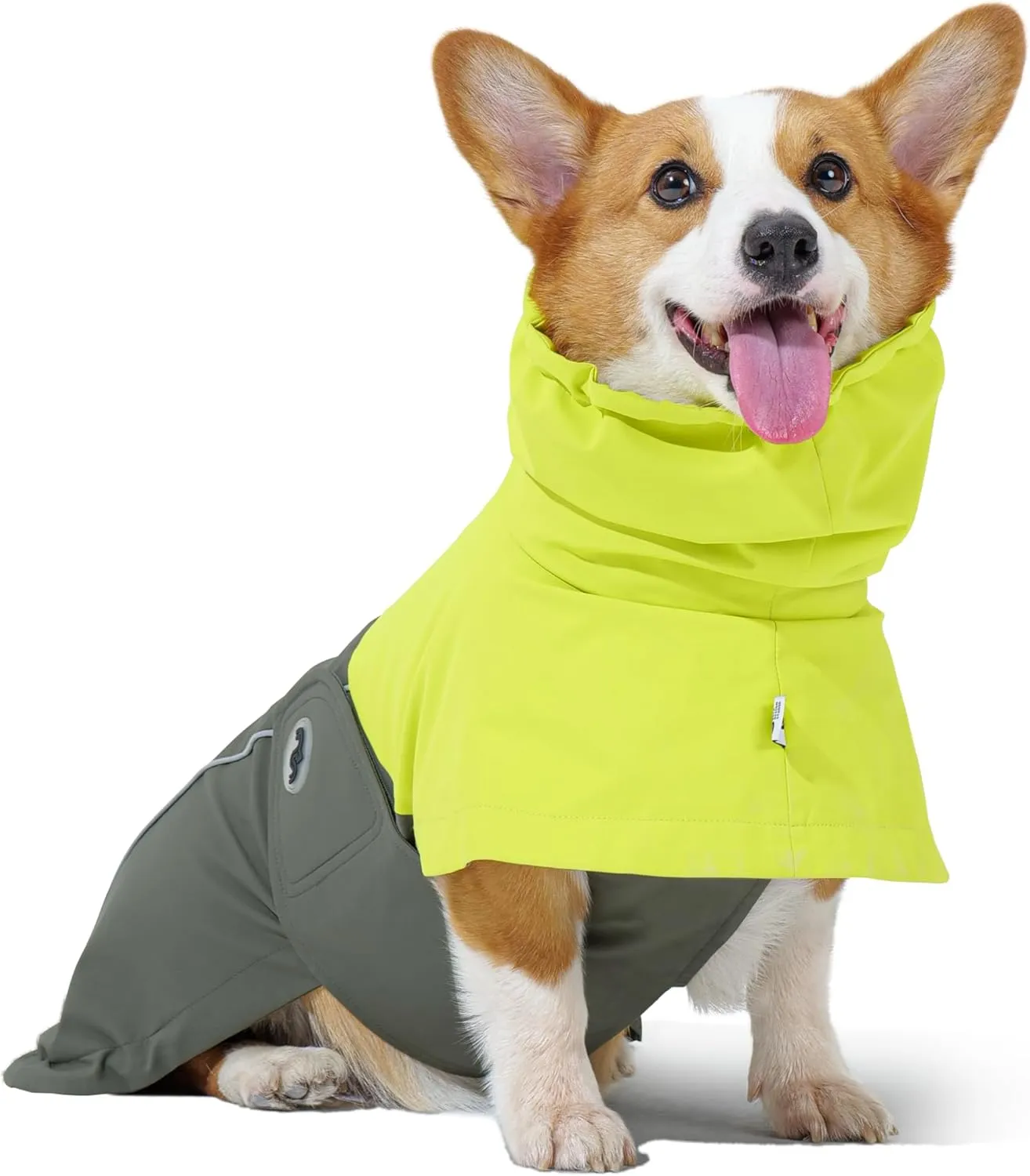 RS Dog Raincoat, All-Weather Jacket, Waterproof, Windproof & Lightweight, Teflon Fabric Protector (Bright Green, Large)