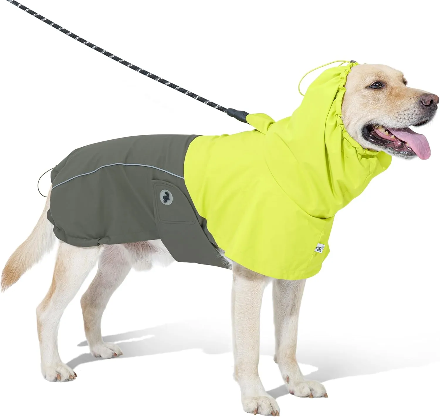 RS Dog Raincoat, All-Weather Jacket, Waterproof, Windproof & Lightweight, Teflon Fabric Protector (Bright Green, Large)