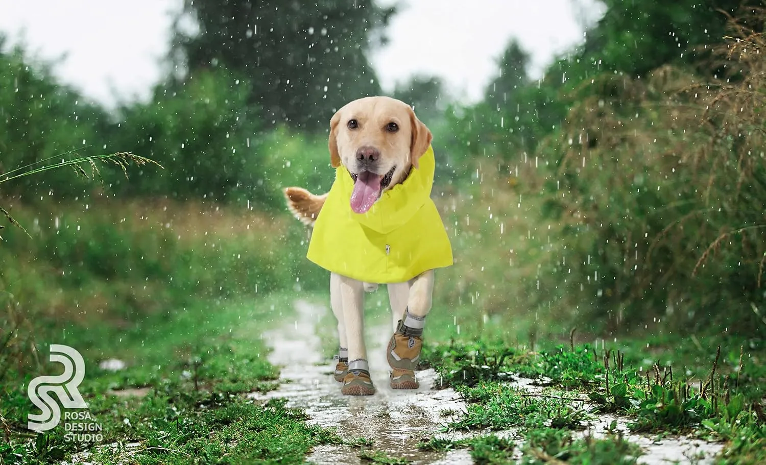 RS Dog Raincoat, All-Weather Jacket, Waterproof, Windproof & Lightweight, Teflon Fabric Protector (Bright Green, Large)