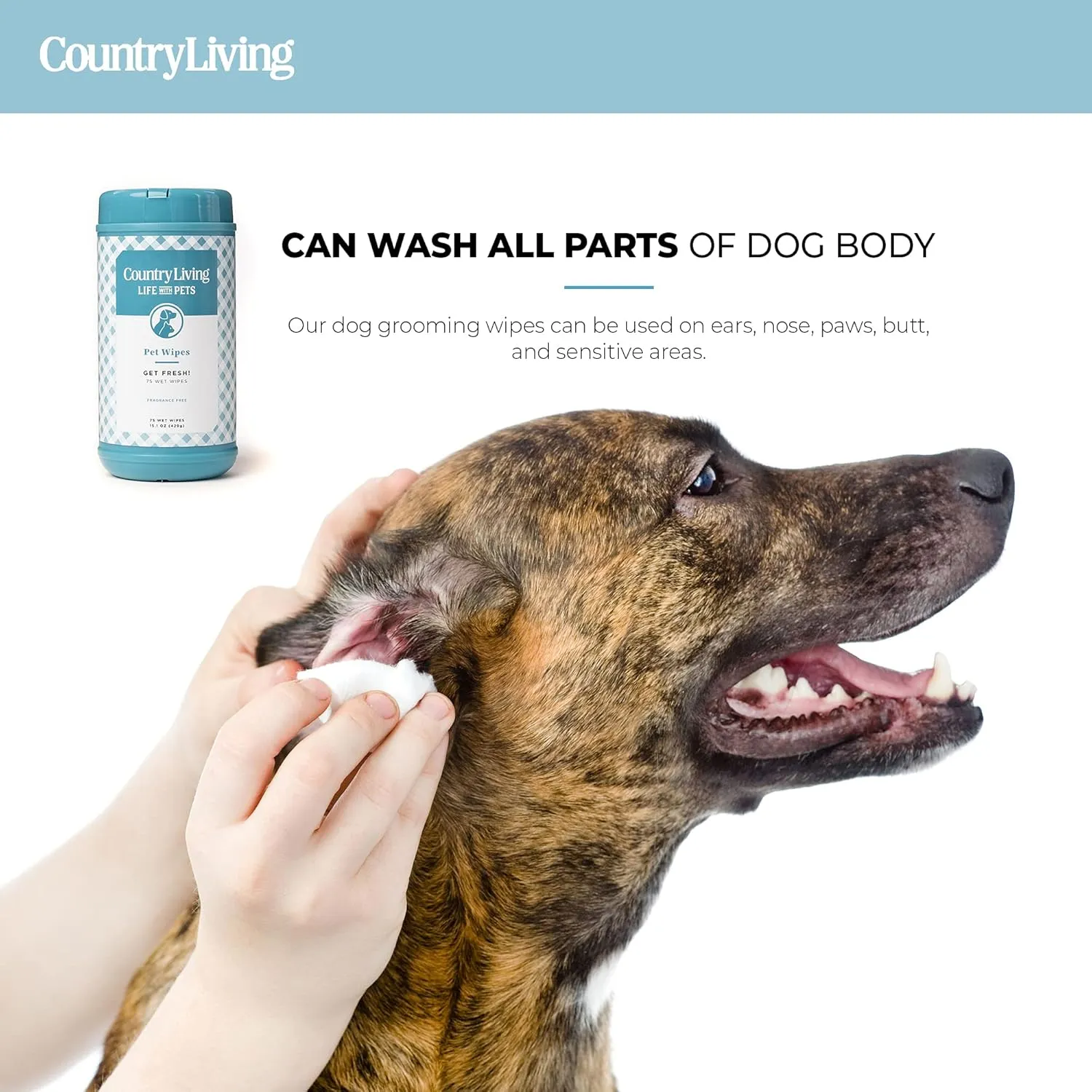 Silver Paw Fragrance-Free Wipes for Dogs, Dog Wipes Cleaning & Pet-Friendly with Plant-Based Formula, 2-Pack (Total of 150 Wipes)