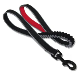 Springback 48" Dog Leash