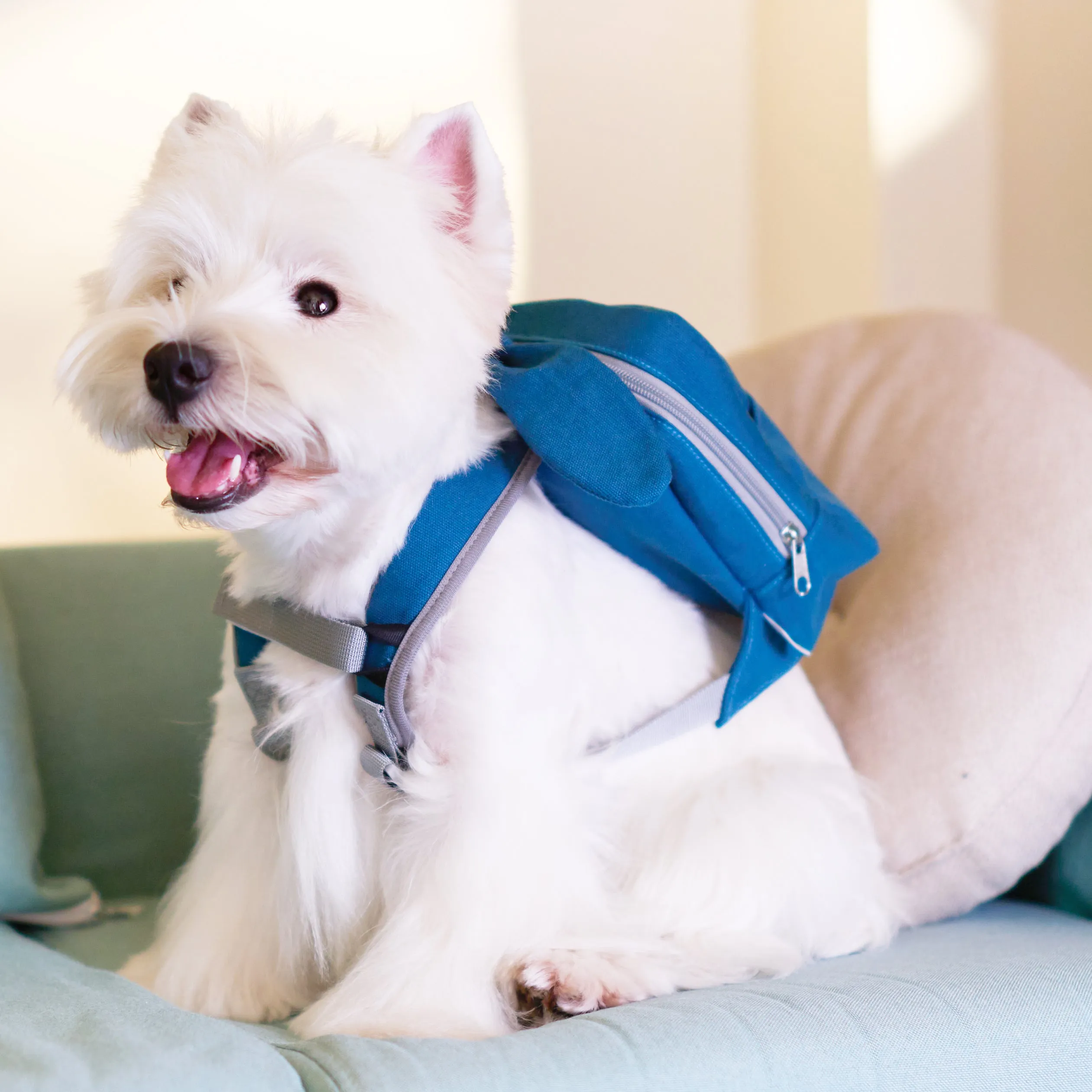 Touchdog ® Navy Large-Pocketed Zippered Duffle Dog Backpack and Harness