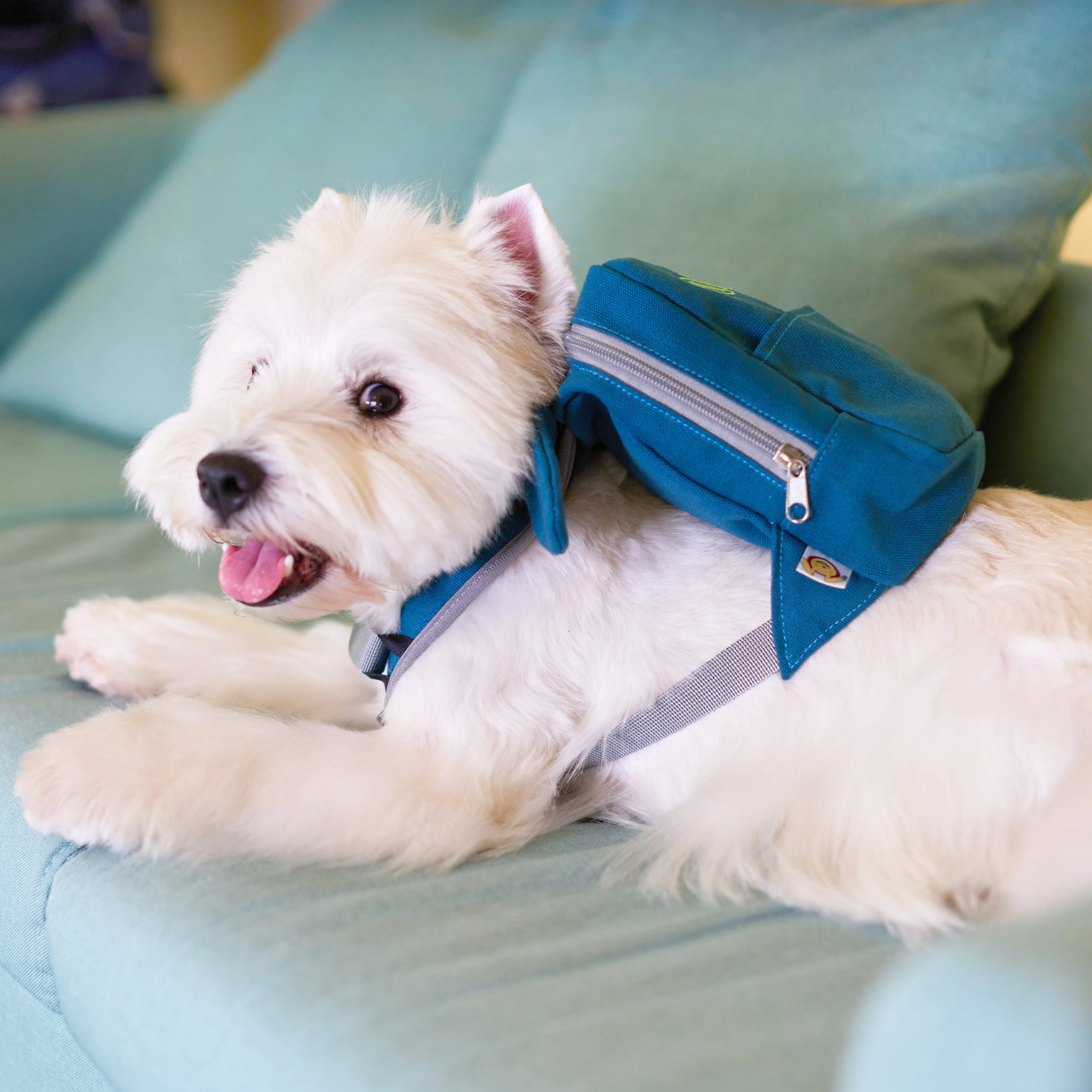 Touchdog ® Navy Large-Pocketed Zippered Duffle Dog Backpack and Harness