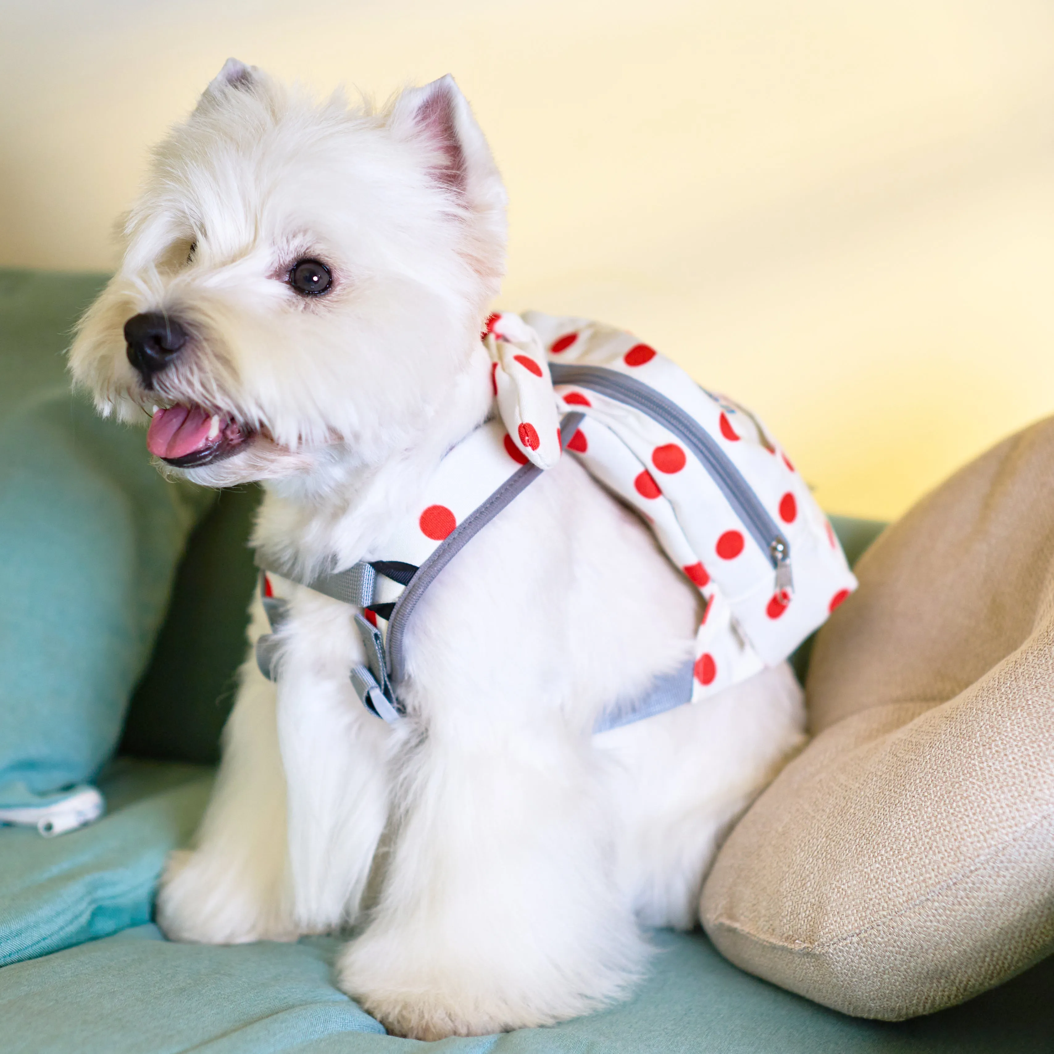 Touchdog ® Polka Dot Large Pocketed Zippered Duffle Dog Backpack and Harness