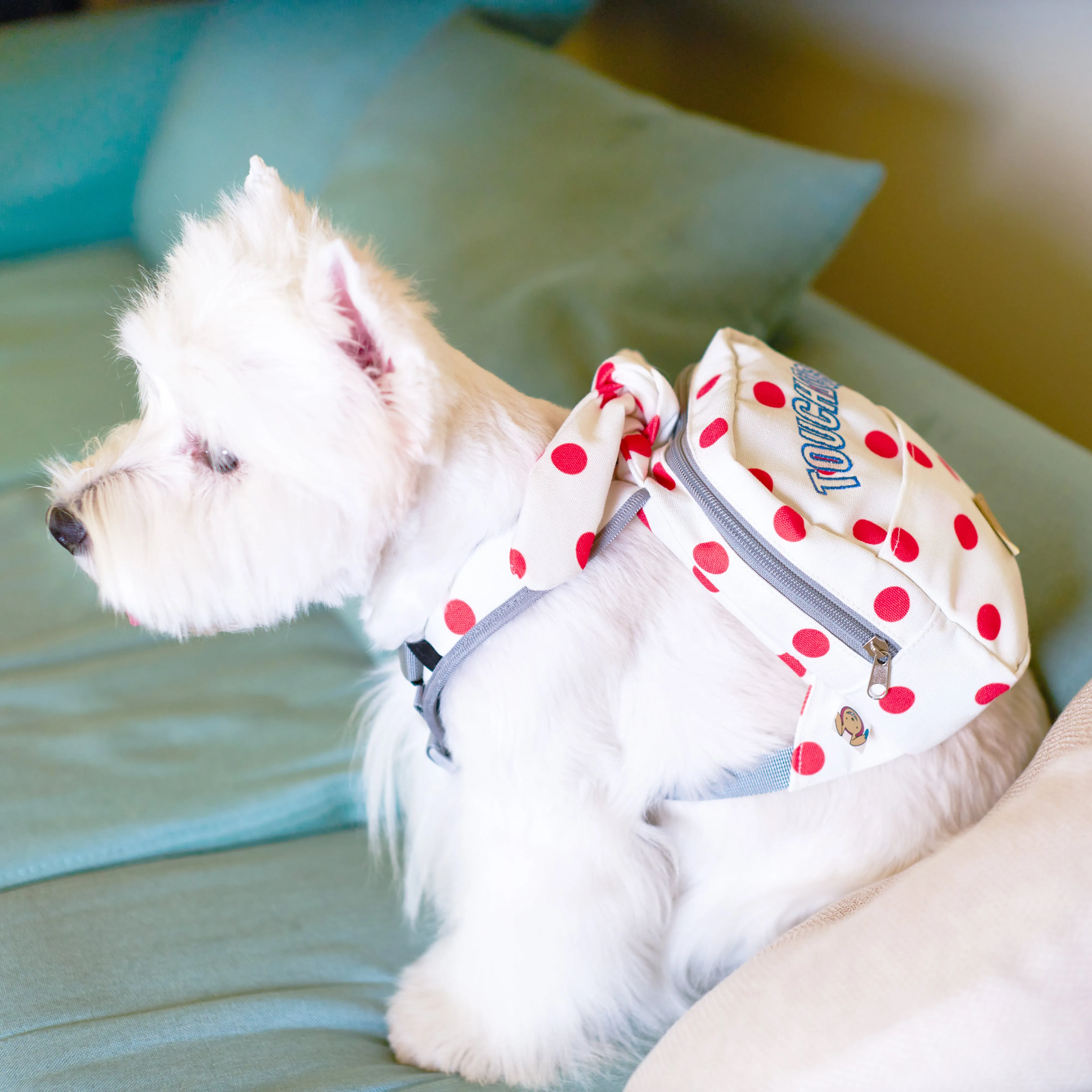 Touchdog ® Polka Dot Large Pocketed Zippered Duffle Dog Backpack and Harness