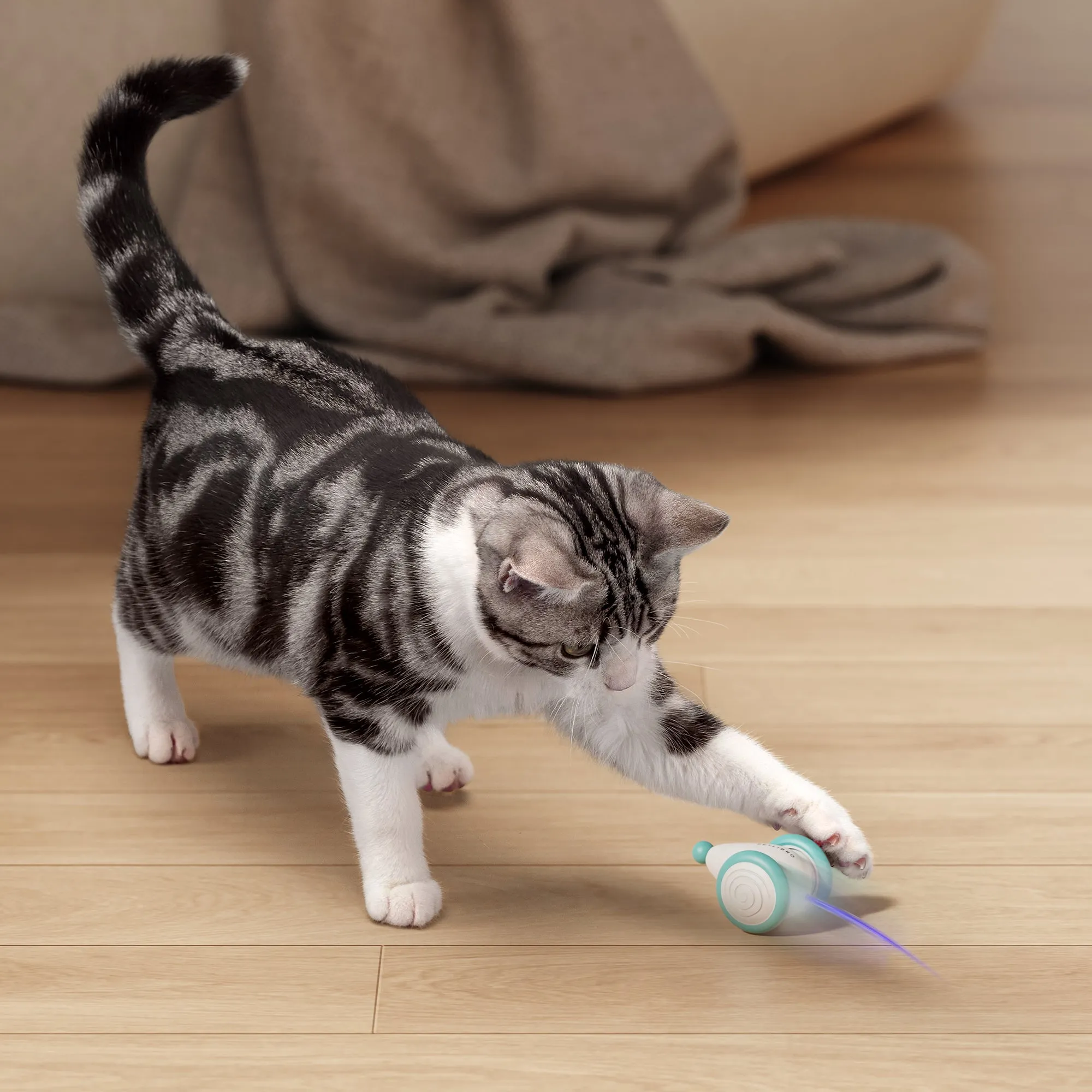 Ultimate Pet Care Starter Kit