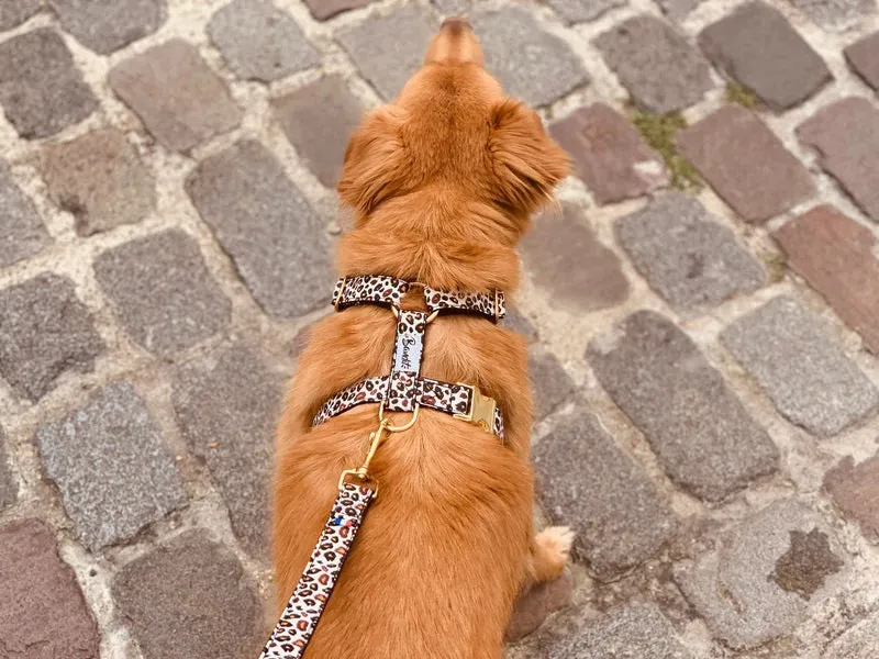 Wild Wild Wouf Harness